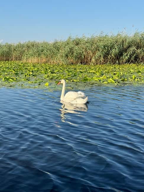Boat Trip to Caraorman Forest – Danube Delta (6–7 hours) - Lakes Isăcel and Isac, the fishing heart of the route