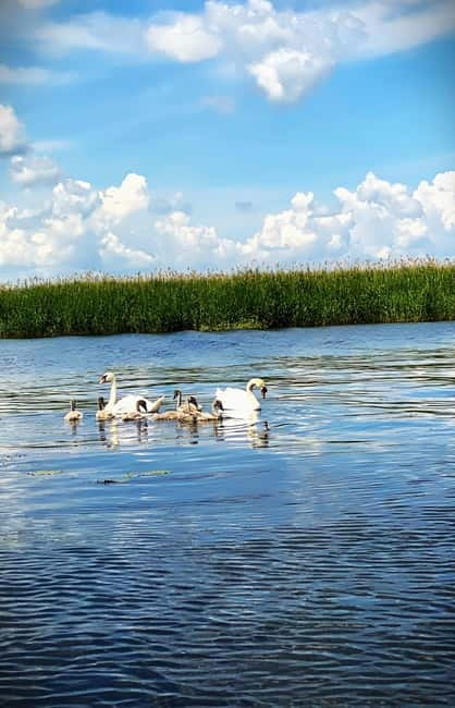 Boat Trip to Caraorman Forest – Danube Delta (6–7 hours) - Following Litcov Channel toward Caraorman