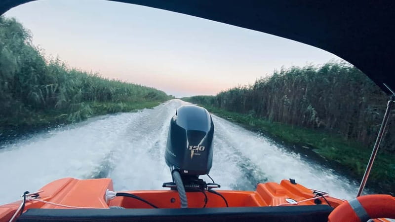 Boat Trip to Caraorman Forest – Danube Delta (6–7 hours) - Boarding at Murighiol and setting out