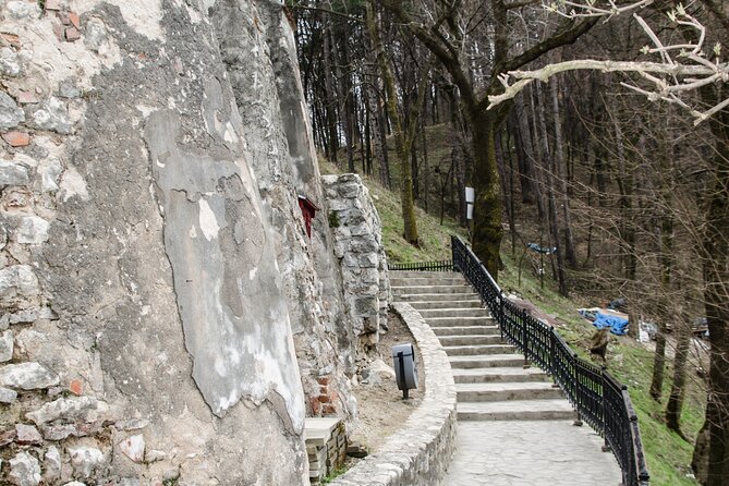 Bran Castle, Bear Sanctuary, and Rasnov Fortress Half Day Tour - Râșnov and the mountain view