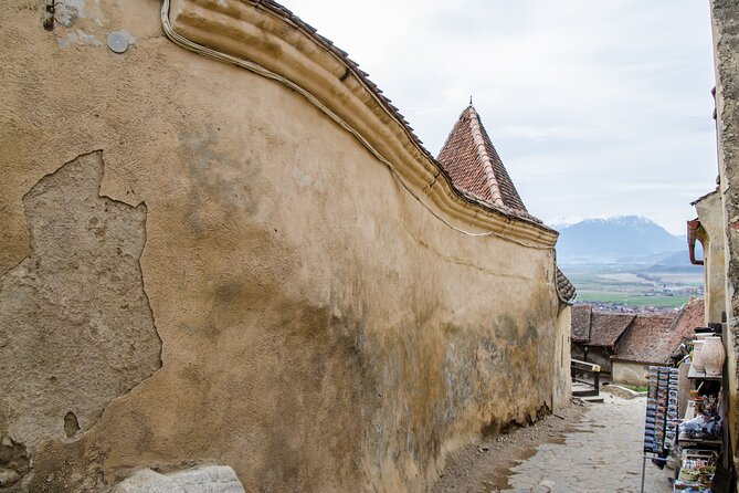 Bran Castle, Bear Sanctuary, and Rasnov Fortress Half Day Tour - Booking details worth knowing