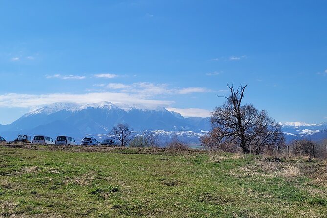Bran Castle & Bear Sanctuary from Brasov - Optional Peles Castle - The optional Peles Castle question