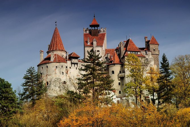 Bran (Dracula) Castle, Bear Sanctuary, Rasnov Fortress & Palinca Distillery - Libearty Bear Sanctuary, the day’s most emotional stop