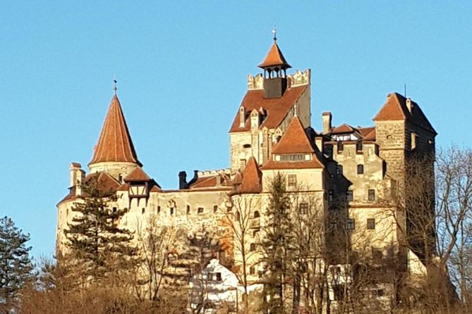 Brasov: Bear Sanctuary, Bran Castle & Rasnov Fortress GUIDED Tour - Bran Castle brings the legends back to earth