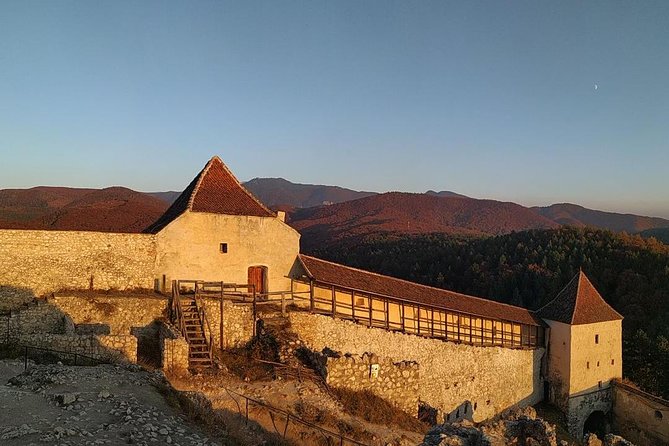 Brasov: Bear Sanctuary, Bran Castle & Rasnov Fortress GUIDED Tour - What the small-group format changes