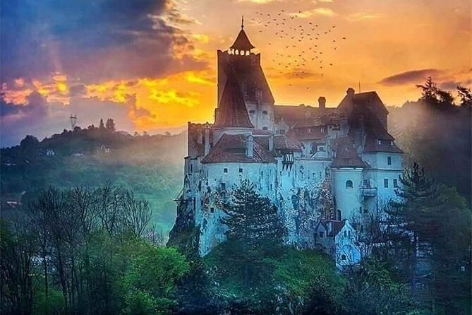 Brasov: Bear Sanctuary, Bran Castle & Rasnov Fortress GUIDED Tour - Is $69.54 a fair price?