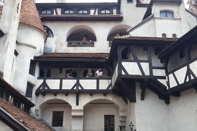 Brasov: Bear Sanctuary, Bran Castle & Rasnov Fortress GUIDED Tour - Who should book this Brasov day trip?