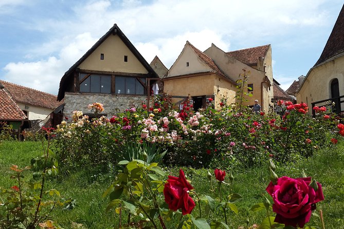 Brasov: Bear Sanctuary, Bran Castle & Rasnov Fortress GUIDED Tour - FAQ