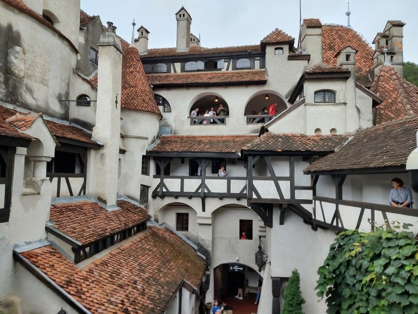 Brasov: Bear Sanctuary, Bran Castle & Rasnov Fortress Tour - What the $61 price really covers