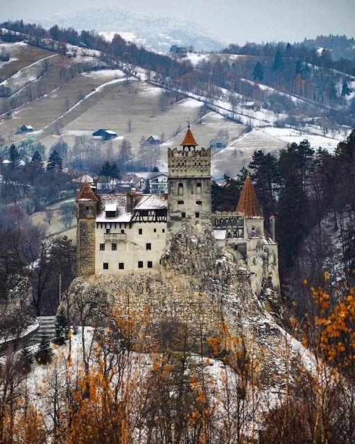 Brasov: Bear Sanctuary, Bran Castle & Rasnov Fortress Tour - Meeting in Brasov and settling into the minivan