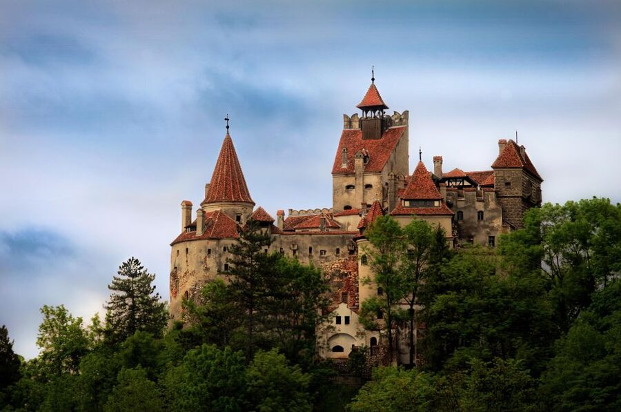 Brasov: Bear Sanctuary, Dracula Castle, and Râşnov Fortress - Why the bear sanctuary deserves first place