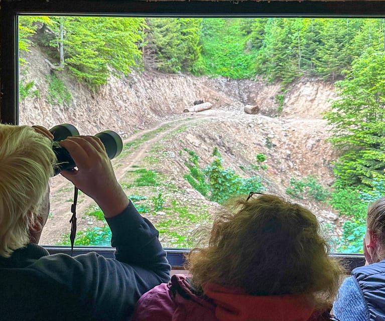 Brasov: Bear Watching in the Wild (From a Hideout) - Meeting in Brasov and driving into the forest