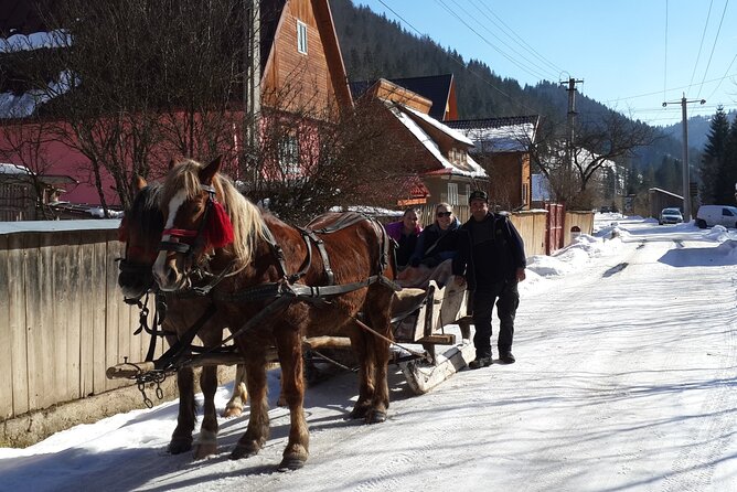 Brasov: Bears Sanctuary, Rasnov Fortress, Bran Castle GUIDED Tour - What the $70.61 price really covers