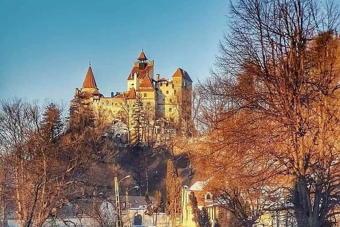 Brasov: Bears Sanctuary, Rasnov Fortress, Bran Castle GUIDED Tour - Timing, walking, and practical comfort