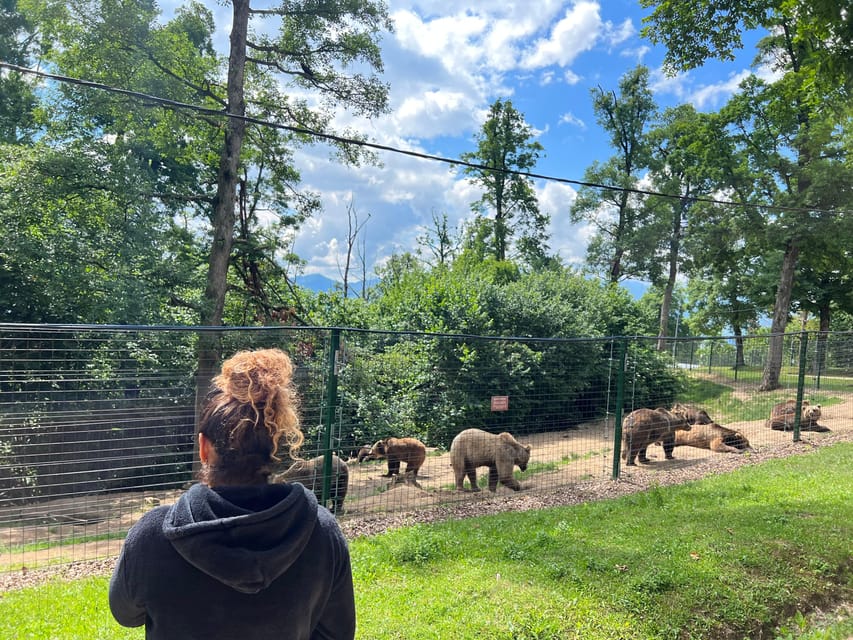 Brasov: Bran Castle, Bear Sanctuary, Rasnov (Peles Optional) - Why the bear sanctuary is the day’s best opening