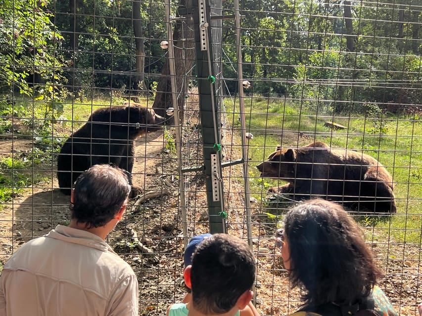 Brasov: Bran Castle, Bear Sanctuary, Rasnov (Peles Optional) - Who should book this Brasov day trip