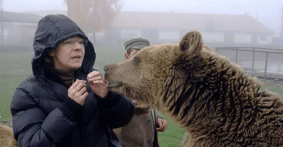 Brasov: Libearty Bear Sanctuary - Why Libearty Is More Than a Bear-Watching Stop