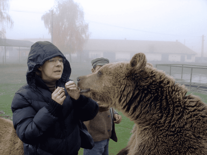 Brasov: Libearty Bear Sanctuary - Walking Through Roughly 70 Hectares of Forest