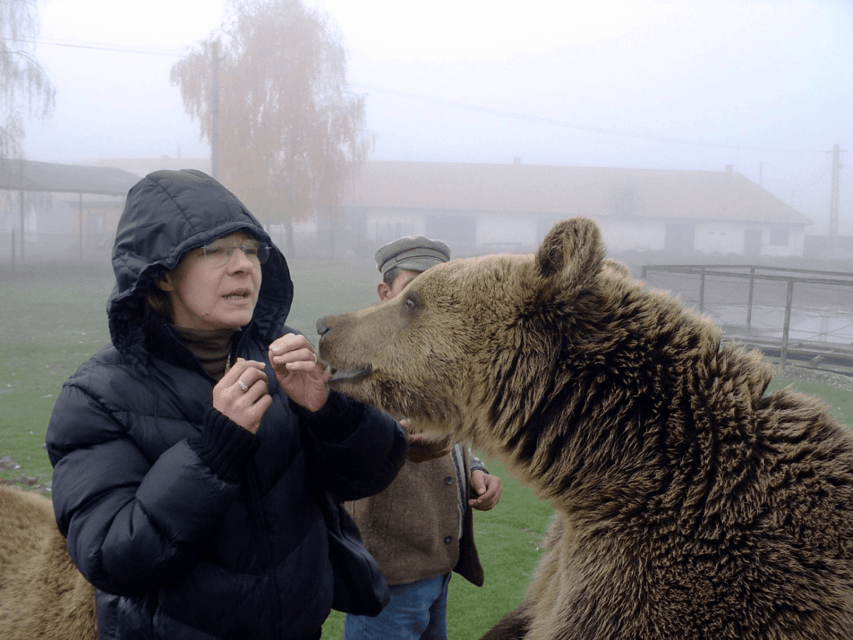 Brasov: Libearty Bear Sanctuary - The Brasov Pickup Keeps the Morning Simple