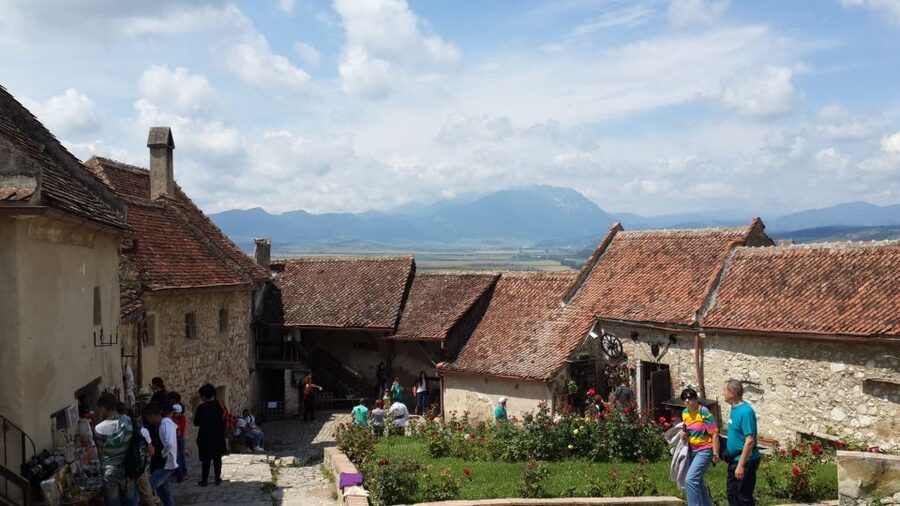 Brasov: Peles Castle, Bran Castle & Rasnov Fortress Day Tour - The $84 question: good value, with entrance fees extra
