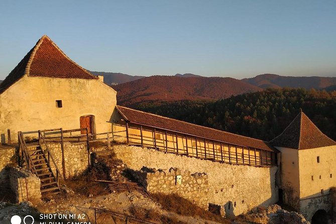Brasov: Peles Castle, Bran Castles and Rasnov Fortress Day Tour - What the guide adds to the day