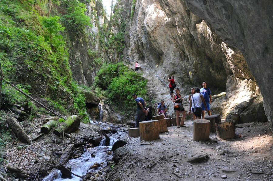 Brasov: Small-Group 7 Ladders Canyon Day Trip - Key points to know before booking