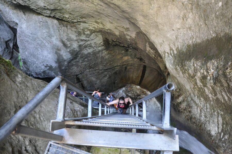 Brasov: Small-Group 7 Ladders Canyon Day Trip - The 45-minute walk through meadow and forest