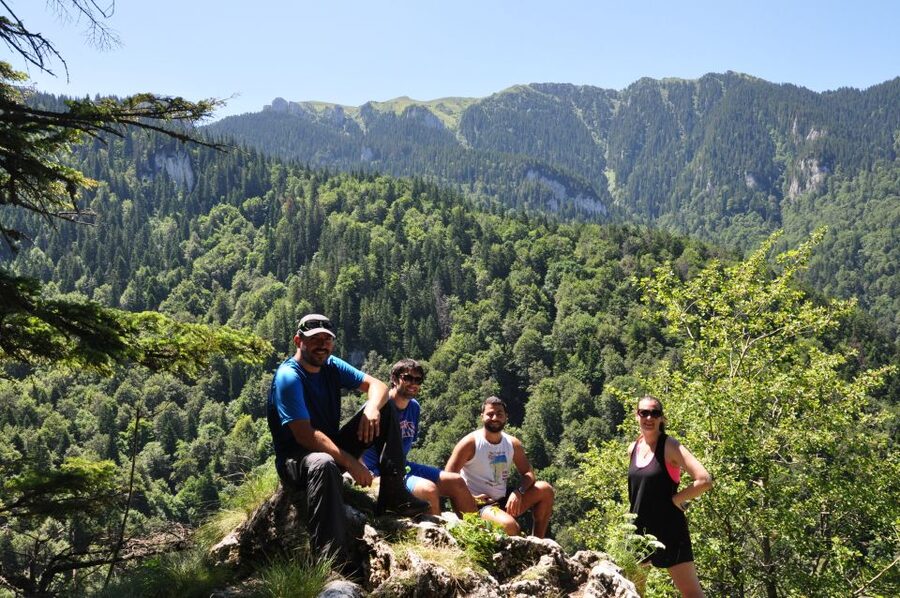 Brasov: Small-Group 7 Ladders Canyon Day Trip - Climbing the ladders beside the waterfalls