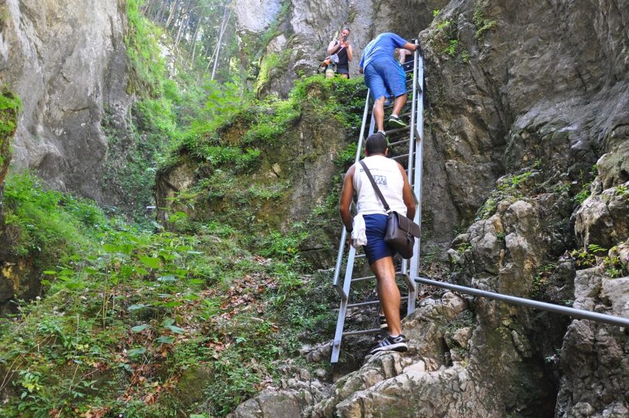 Brasov: Small-Group 7 Ladders Canyon Day Trip - The Bear Wall side trail and the return choices
