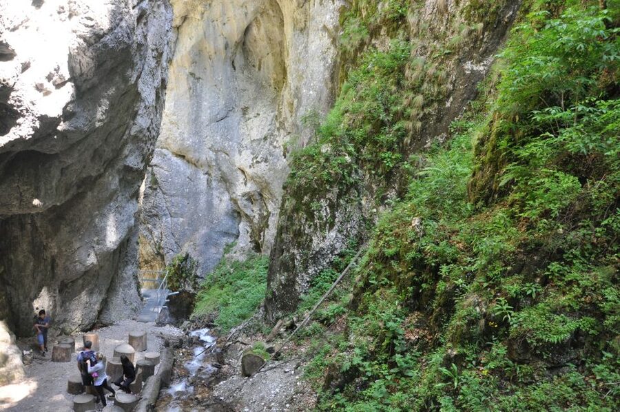 Brasov: Small-Group 7 Ladders Canyon Day Trip - How difficult is the hike?