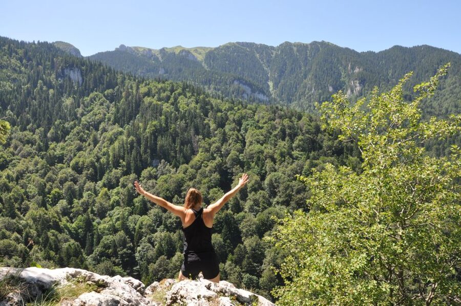 Brasov: Small-Group 7 Ladders Canyon Day Trip - When to go and how to avoid a crowded ladder climb