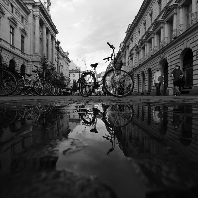 Bucharest Bike Rentals - A slower ride through Bucharests parks