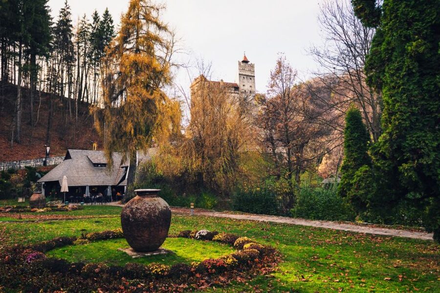 Bucharest: Bran Castle and Bear Sanctuary Small-Group Tour - Why the Bear Sanctuary Changes the Shape of This Day