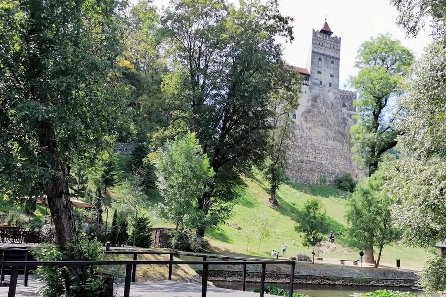 Bucharest: Bran Castle and Bear Sanctuary Small-Group Tour - Is $145 a Fair Price?