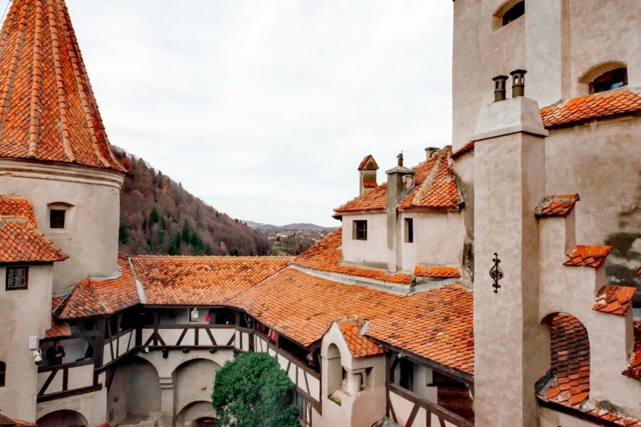 Bucharest: Bran Castle and Bear Sanctuary Small-Group Tour - Who Should Book This Day Trip