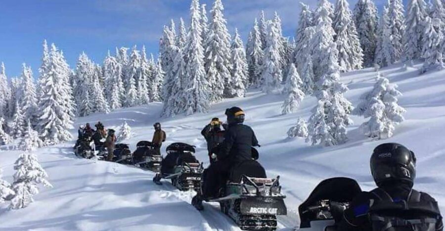 Bucharest: Carpathian Snowmobile / ATV Adventure Tour - From Bucharest to the Carpathian foothills