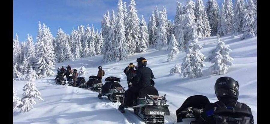 Bucharest: Carpathian Snowmobile / ATV Adventure Tour - Sinaia lunch, dessert, and mountain views