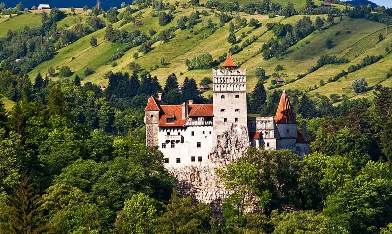 Bucharest: Day Trip to Bear Sanctuary, Bran Castle & Brasov - Why the bear sanctuary changes the tone of the day