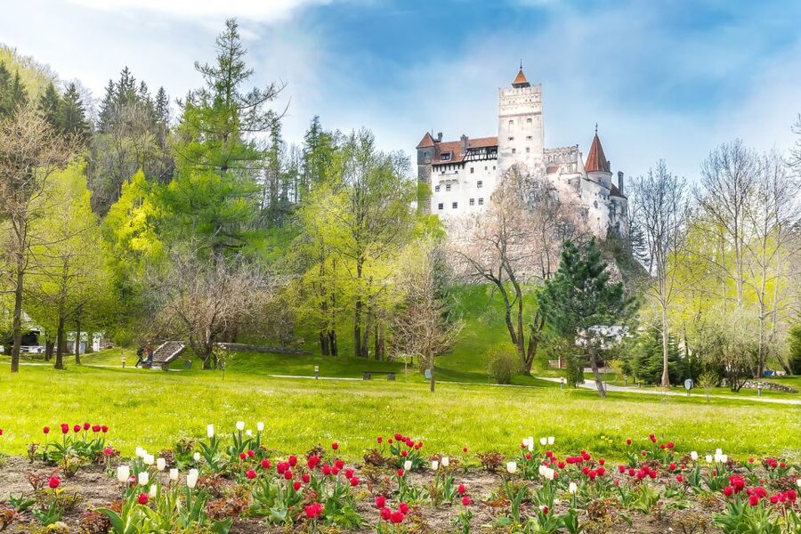 Bucharest: Day Trip to Dracula Castle, Peles Castle & Brașov - The road to Bran through the Carpathians