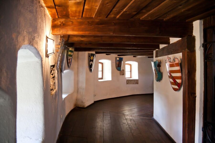 Bucharest: Day Trip to Dracula Castle, Peles Castle & Brașov - What the guide adds to the day
