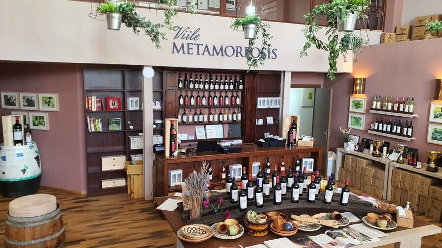 Bucharest: Dealu Mare Winery Private Trip with Wine Tasting - How this compares with a city tasting