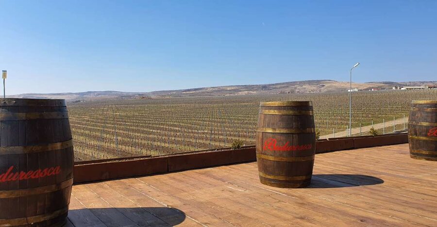 Bucharest: Dealu Mare Winery Private Trip with Wine Tasting - What makes Dealu Mare worth the trip