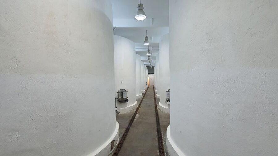 Bucharest: Dealu Mare Winery Private Trip with Wine Tasting - Timing, comfort, and practical limits