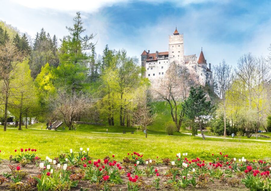 Bucharest: Dracula Castle, Peles Castle & Brasov Guided Tour - The long road through the Carpathians