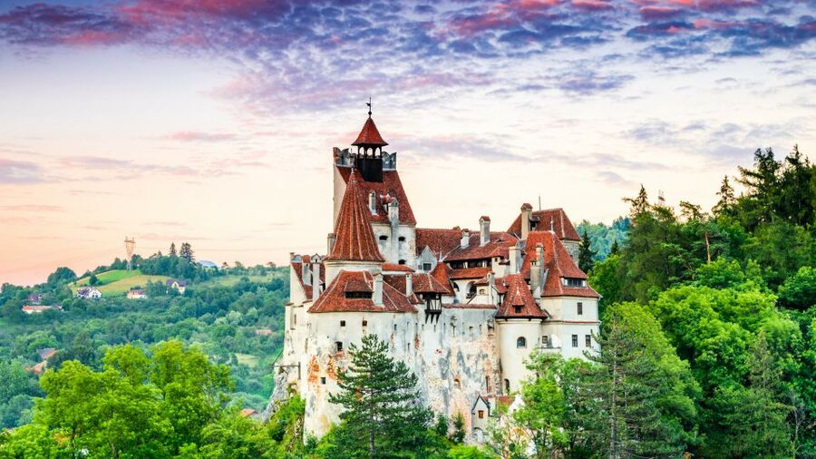 Bucharest: Dracula's Castle, Peles Castle, & Brasov Old Town - Timing, comfort, and the cost calculation