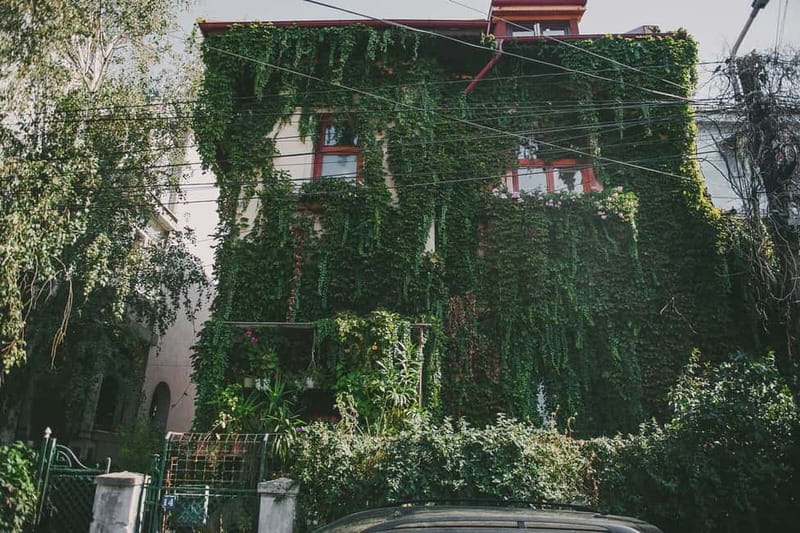 Bucharest: Hidden Gems 2.5-Hour Walking Tour - Mantuleasa Street and Mircea Eliade