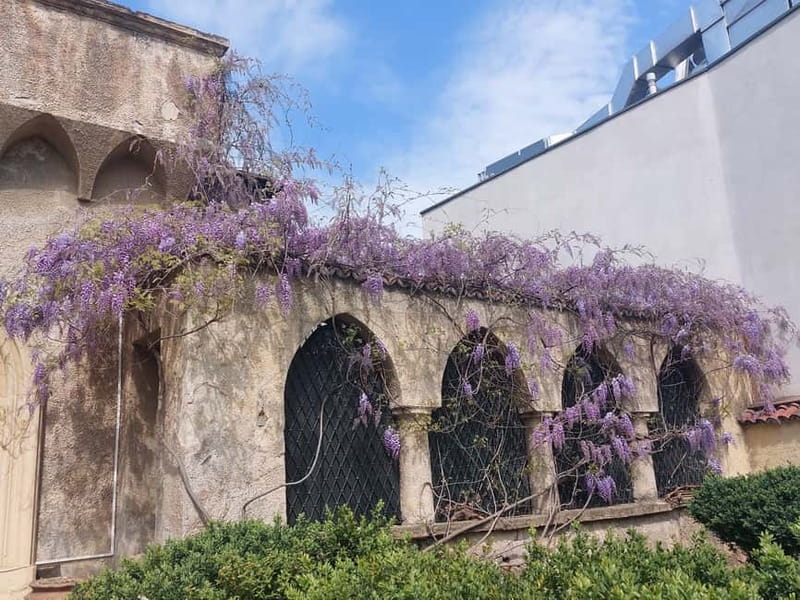 Bucharest: Hidden Gems 2.5-Hour Walking Tour - What the $45 price gives you
