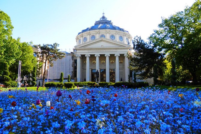 Bucharest Layover Tour (6 - Hour Private City Tour Between Flights) - Key Points Before You Book