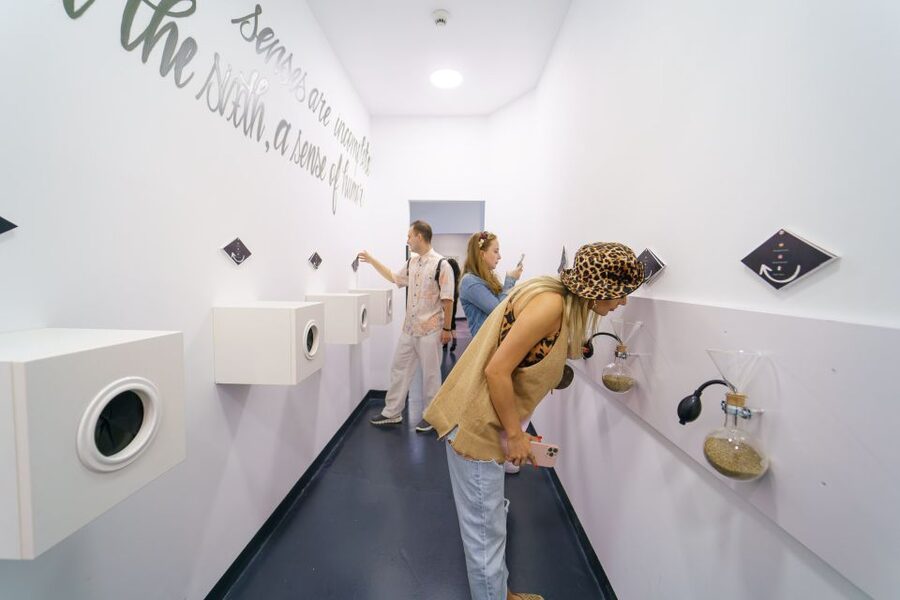 Bucharest: Museum of Senses Entry Ticket - Location and practical details