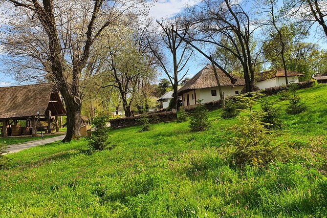 Bucharest Private Tour with Dracula's Grave and Ceaușescu Mansion - Calea Victoriei: Bucharest in layers